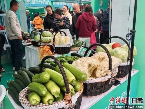暮秋蘭州甘味濃，張掖有機(jī)農(nóng)產(chǎn)品展銷(xiāo)會(huì)圈粉金城苗木